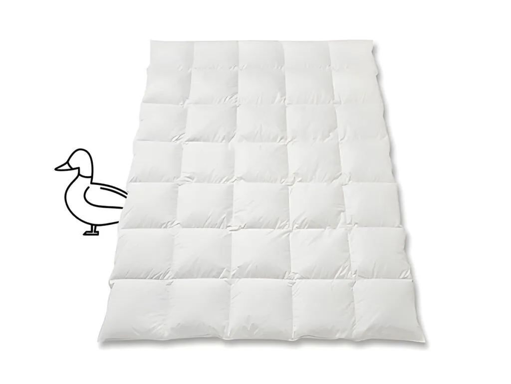 Entendaunen_Duvet_Daunen_Ente_Silver_Quadro