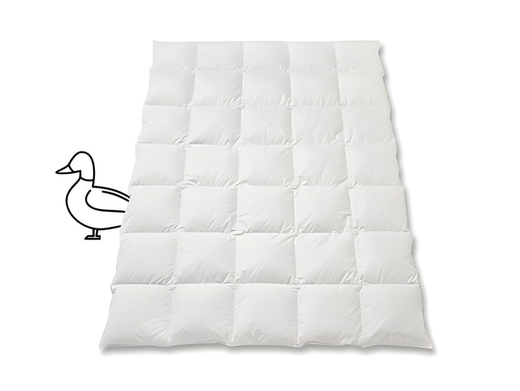 Entendaunen_Duvet_Daunen_Ente_Silver_Quadro