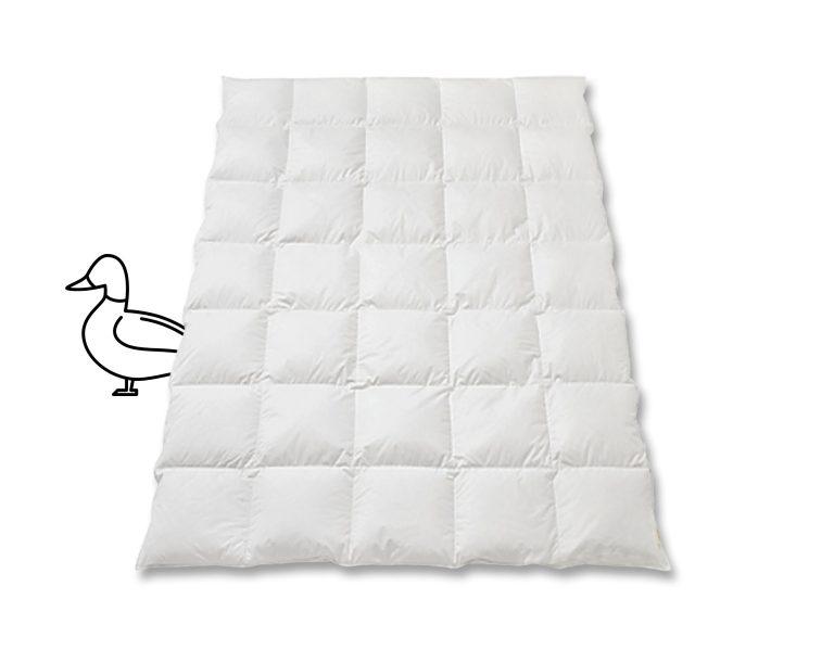 Entendaunen_Duvet_Daunen_Ente_Silver_Quadro