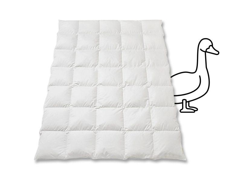 Gänsedaunenduvet Duvet Gänsedaunen Gänseflaum SIlver Quadro Deluxe