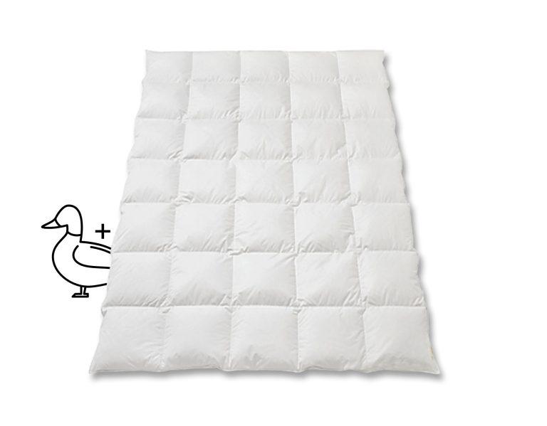 Primera_Plus_Entendaunen_Duvet