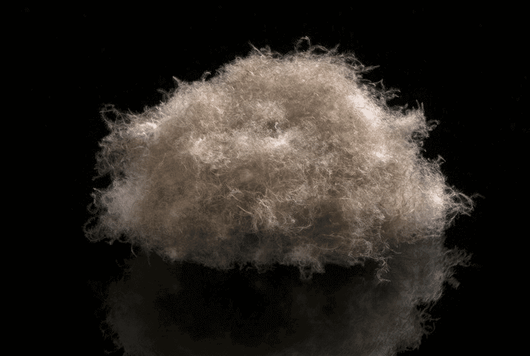 Ein flauschiges, hellbraunes Daunenbündel, das an ein hochwertiges Daunenduvet erinnert, sitzt vor einem glänzenden schwarzen Hintergrund, dessen weiche Textur und feine Fasern deutlich sichtbar sind.