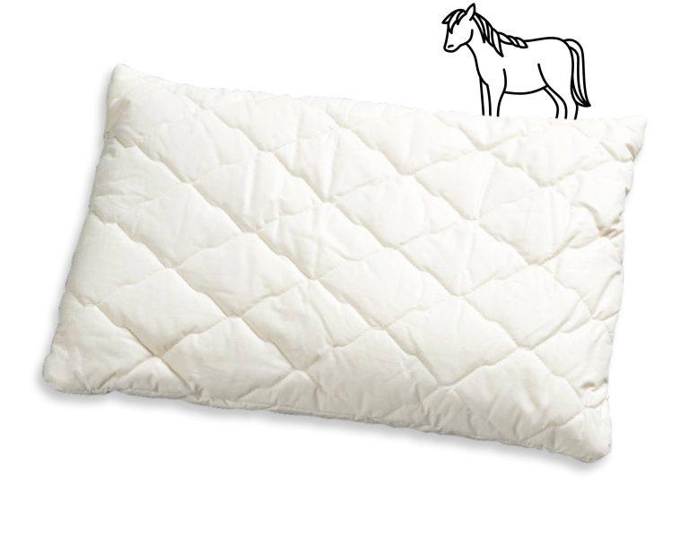 Rosshaarkissen_Rossini