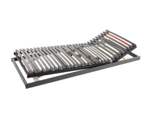 Robusta_Lattenrost_Galaxy-II-Relax