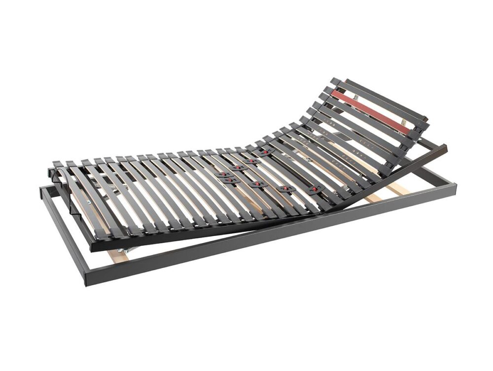 Robusta_Lattenrost_Galaxy-II-Relax-Lecture