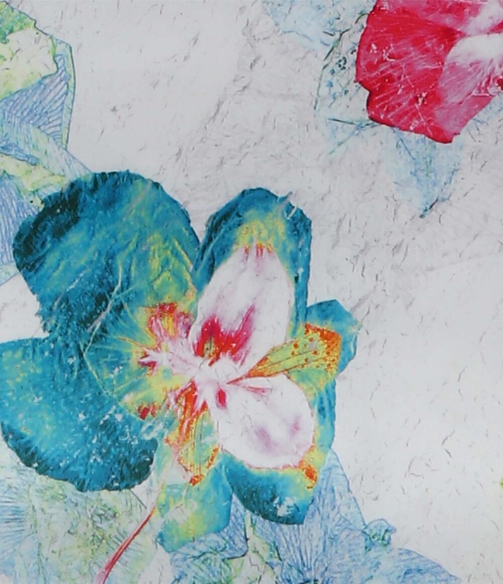 Eine farbenfrohe abstrakte Blume mit blauen, roten, gelben und weißen Blütenblättern hebt sich von einem leicht strukturierten Hintergrund ab und spiegelt das lebendige Design von Bettwäsche Tamara-R Selection Florence wider. Ein rotes und weißes Blütenblatt befindet sich in der oberen rechten Ecke.