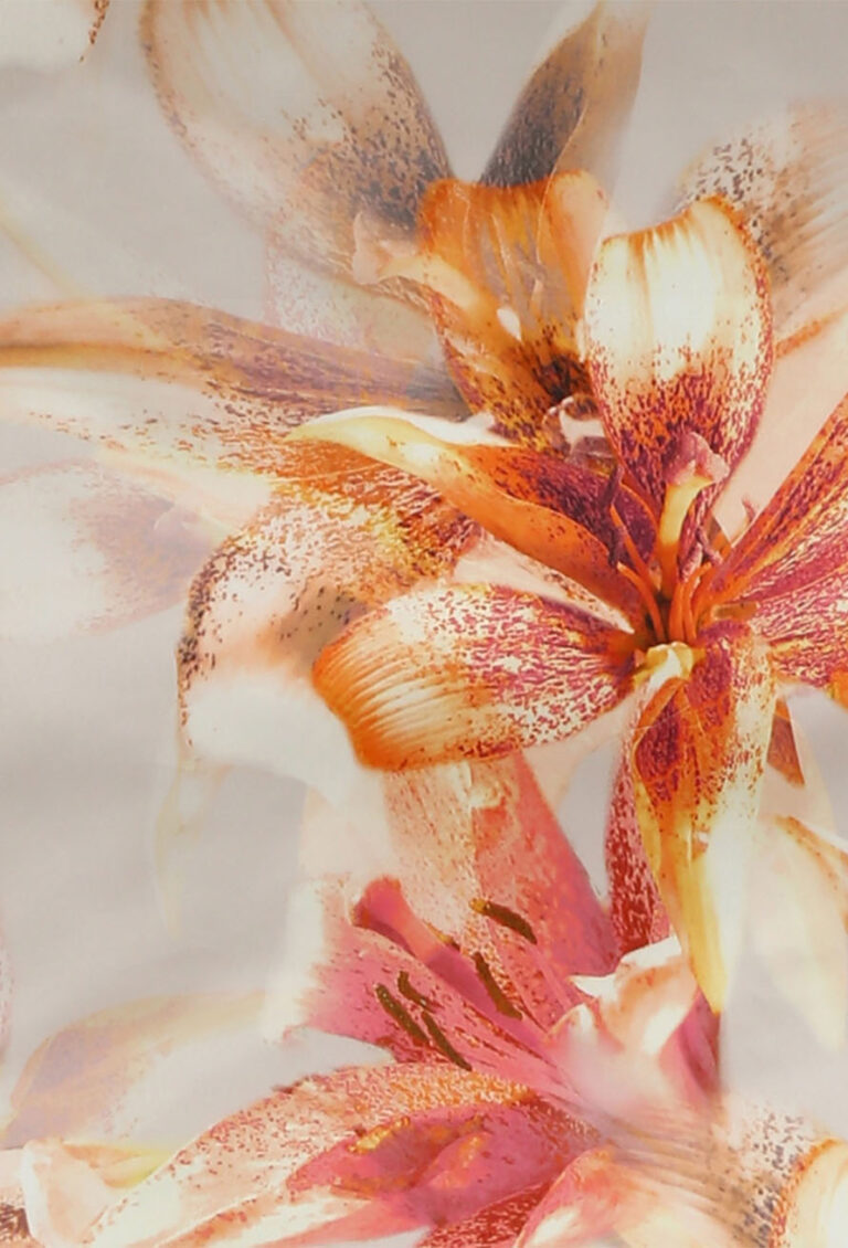 Nahaufnahme von orangefarbenen, weißen und rosafarbenen Lilien mit detaillierten Blütenblättern und Sprenkeln, die die zarten Muster der Bettwäsche Tamara-R Selection Vivienne widerspiegeln, vor einem weichen Hintergrund.