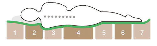 Eine Illustration zeigt eine Person, die seitlich auf der Robusta Latexmatratze "Niesen" liegt, mit sieben nummerierten Stützzonen darunter und einer grünen Linie, die eine gerade Ausrichtung der Wirbelsäule anzeigt.