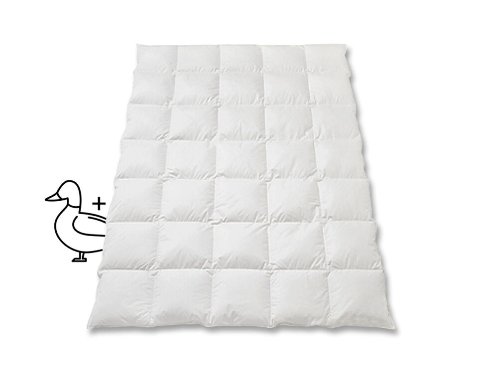 Primera_Plus_Entendaunen_Duvet
