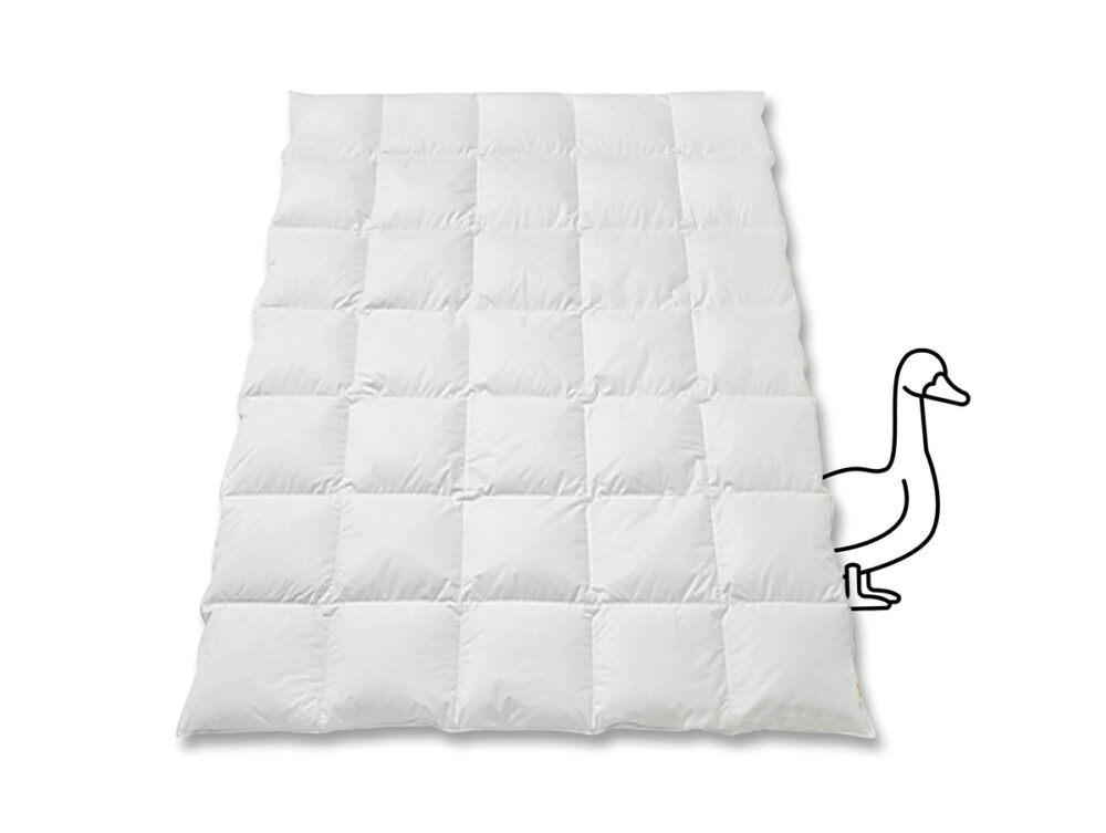 Princess_Deluxe_Gänseflaum_Duvet