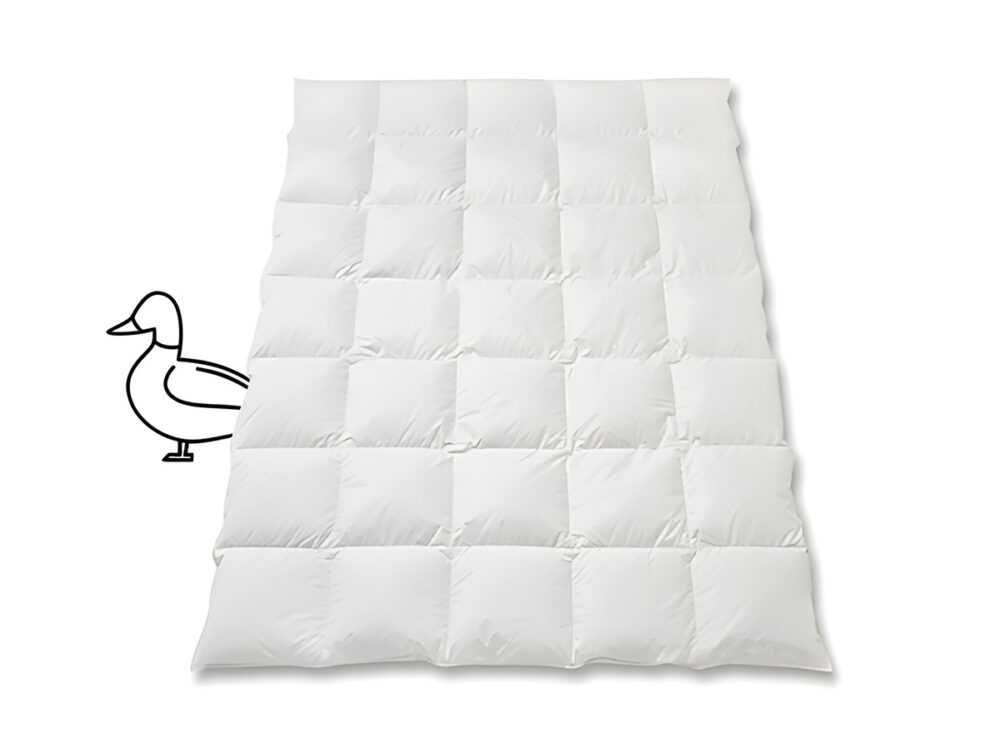 Entendaunen_Duvet_Daunen_Ente_Silver_Quadro
