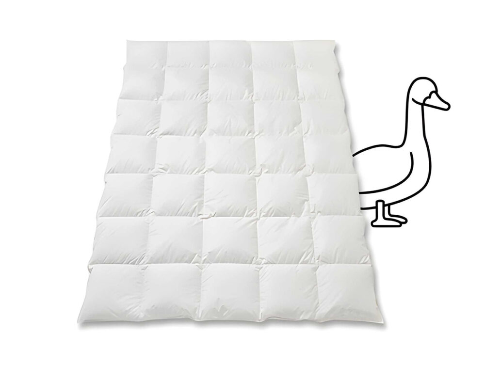 Gänsedaunenduvet Duvet Gänsedaunen Gänseflaum SIlver Quadro Deluxe