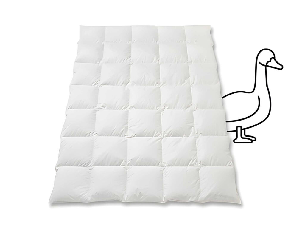 Gänsedaunenduvet Duvet Gänsedaunen Gänseflaum SIlver Quadro Deluxe