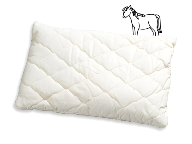 Rosshaarkissen_Rossini