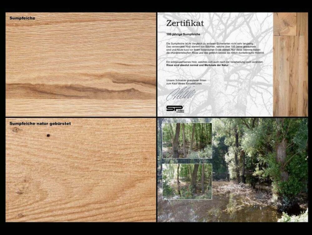 Sumpfeiche und Sumpfeiche natur gebürstet